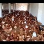 Lohman | Lohman brown | lohman eggs laying hens | 360 eggs in 1 year in Karachi
